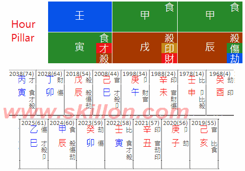  Kamala Harris 2024 U.S. presidential election 八字 BaZi Four Pillars of Destiny Patt Chee